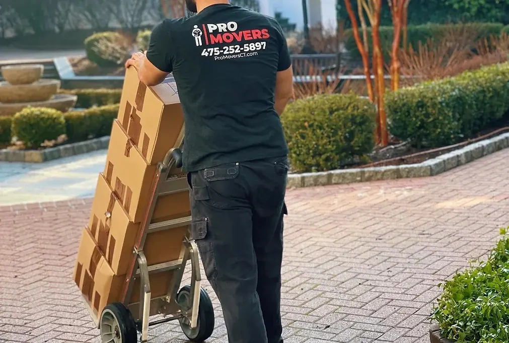 a member of Pro Movers using trolley cart full of moving boxes